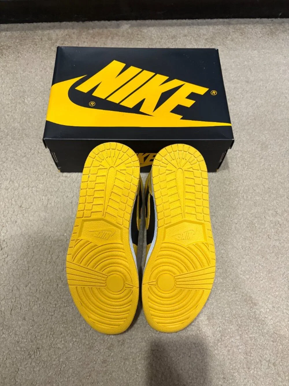 Nike Air Jordan 1 High OG Pollen